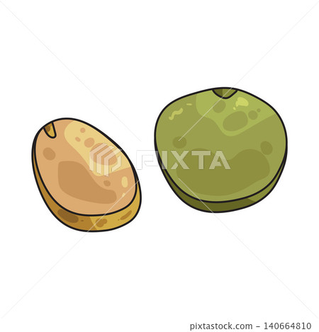 Illustration of Split pea Illustration of Split pea 140664810