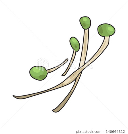 Illustration of Alfalfa 140664812