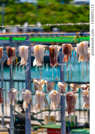 曬乾的翻車魚 曬乾的翻車魚 140665113