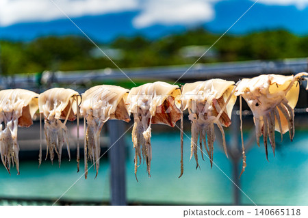 Sun dried sunfish Sun dried sunfish 140665118