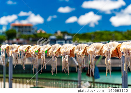 Sun dried sunfish Sun dried sunfish 140665120