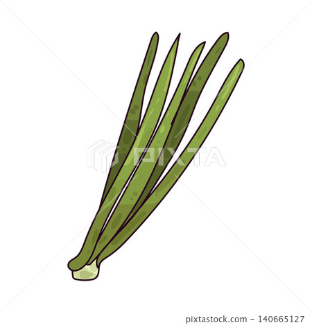 Illustration of Scallion 140665127