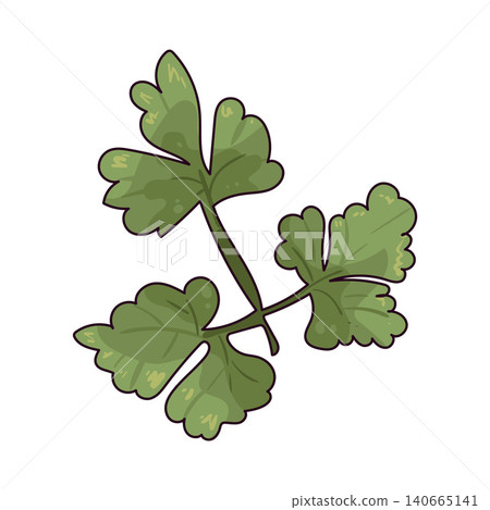 Illustration of Parsley Leaf 140665141