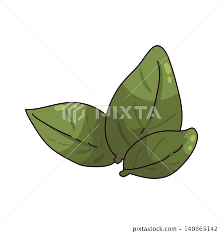 Illustration of Basil Leaves 140665142