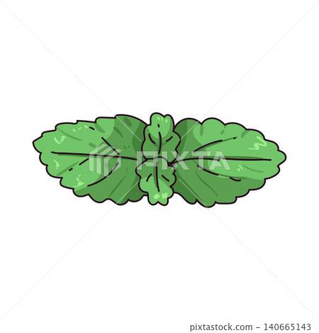 Sprig of Mint Illustration 140665143