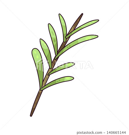 Illustration of Rosemary Sprig Illustration of Rosemary Sprig 140665144