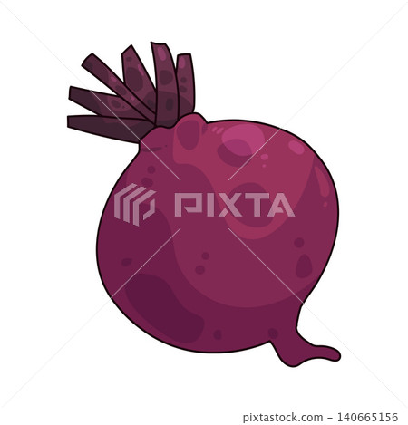 Illustration of Beetroot Illustration of Beetroot 140665156