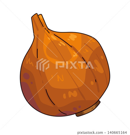 Illustration of Onion Illustration of Onion 140665164
