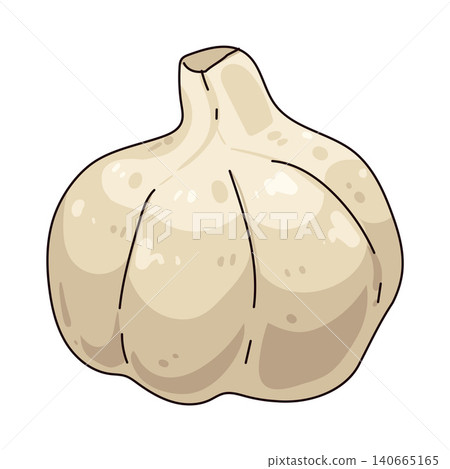 Illustration of Garlic Illustration of Garlic 140665165