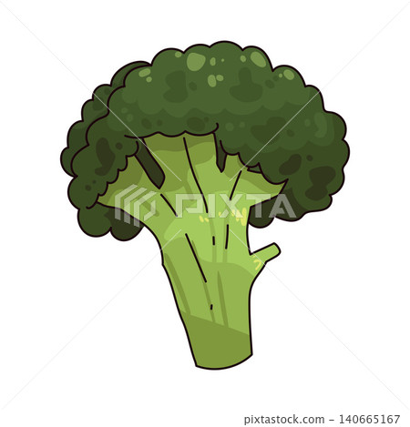 Illustration of Broccoli 140665167