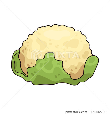 Illustration of Cauliflower Illustration of Cauliflower 140665168