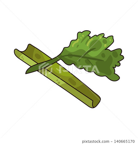 Illustration of Celery Illustration of Celery 140665170