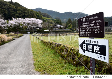 日聖院寺廟資訊牌和秋月城下町(秋月城遺址)盛開的櫻花,位於福岡縣朝倉市 日聖院寺廟資訊牌和秋月城下町(秋月城遺址)盛開的櫻花,位於福岡縣朝倉市 140665458