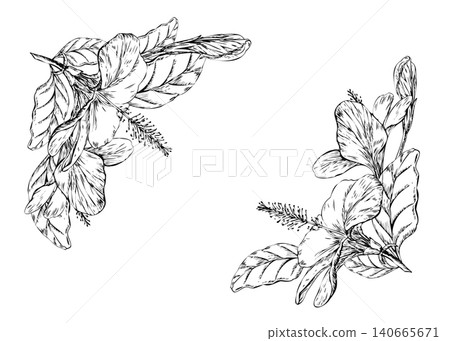 Hibiscus flowers frame hand drawn line art illustration. Black ink corner borders with tropical blossoms, buds, and leaves sketch for exotic wedding invitation and copy space card template 140665671