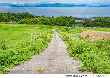 Lake Biwa as seen from the terraced rice fields of Hachiyado, Otsu City, Shiga Prefecture Lake Biwa as seen from the terraced rice fields of Hachiyado, Otsu City, Shiga Prefecture 140665913