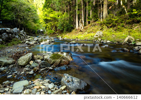 Landscape of Mountain Stream: A clear stream surrounded by lush greenery and rocky terrain. Landscape of Mountain Stream: A clear stream surrounded by lush greenery and rocky terrain. 140666612
