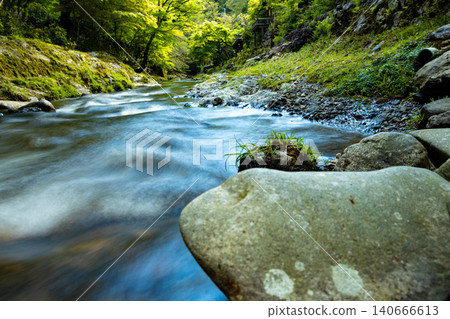 Landscape of Mountain Stream: A clear stream surrounded by lush greenery and rocky terrain. Landscape of Mountain Stream: A clear stream surrounded by lush greenery and rocky terrain. 140666613