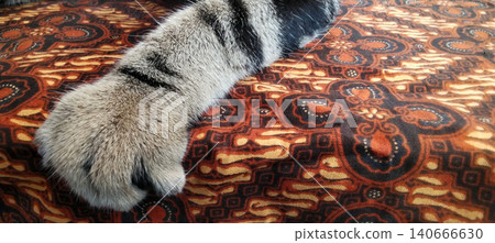 Close-up image of a striped cat's paw resting on traditional batik cloth. Close-up image of a striped cat's paw resting on traditional batik cloth. 140666630
