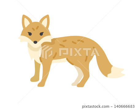 一幅面向前方的狐狸插畫。 一幅面向前方的狐狸插畫。 140666683