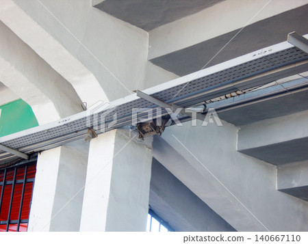 Metal perforated cable tray routed along concrete beams and columns underneath stadium stands, highlighting industrial utility management and brutalist infrastructure. Metal perforated cable tray routed along concrete beams and columns underneath stadium stands, highlighting industrial utility management and brutalist infrastructure. 140667110