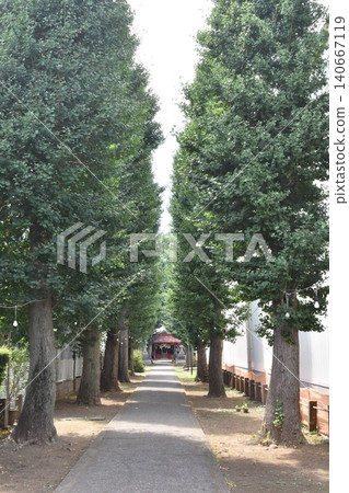 Shimo Suzuki Inari Shrine, Kodaira City, Tokyo, approach to the shrine Shimo Suzuki Inari Shrine, Kodaira City, Tokyo, approach to the shrine 140667119
