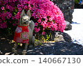 The fox of Anamori Inari Shrine, Tokyo 140667130