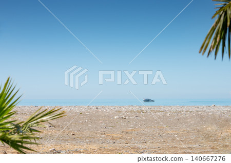 Palm leaves on pebble beach with sea horizon and clear blue sky 140667276