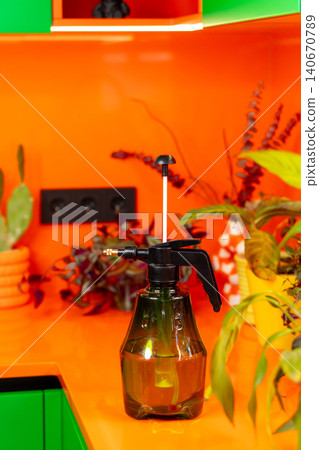 Plant Mister Bottle For Indoor Houseplant Care Plant Mister Bottle For Indoor Houseplant Care 140670789