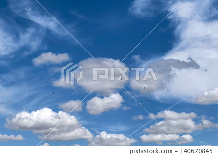 Swallows Flying Beneath White Clouds In Blue Sky Swallows Flying Beneath White Clouds In Blue Sky 140670845