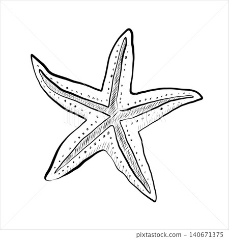 Contour drawing line art starfish in the sea, ocean. Minimalistic Contour drawing line art starfish in the sea, ocean. Minimalistic 140671375