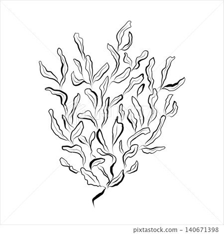 Contour drawing line art of plants, algae of river, sea. Contour drawing line art of plants, algae of river, sea. 140671398