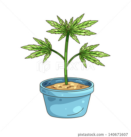 Illustration of cannabis plant in a pot Illustration of cannabis plant in a pot 140671607