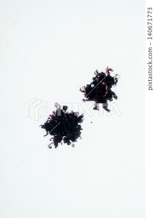 High magnification micrograph showing two dark, clustered fungal spore balls against a plain white background, ideal for science and microbiology concepts High magnification micrograph showing two dark, clustered fungal spore balls against a plain white background, ideal for science and microbiology concepts 140671773