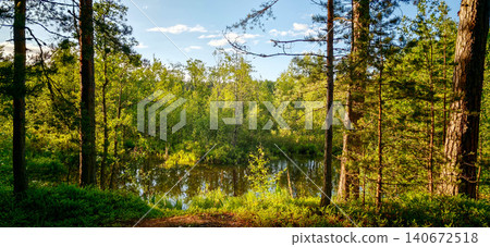 Lush green forest landscape with tall trees surrounding a calm pond under a clear blue sky, sunlight filtering through the foliage creating a serene atmosphere Lush green forest landscape with tall trees surrounding a calm pond under a clear blue sky, sunlight filtering through the foliage creating a serene atmosphere 140672518