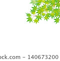 Fresh green leaves, vibrant autumn leaves 01 140673200
