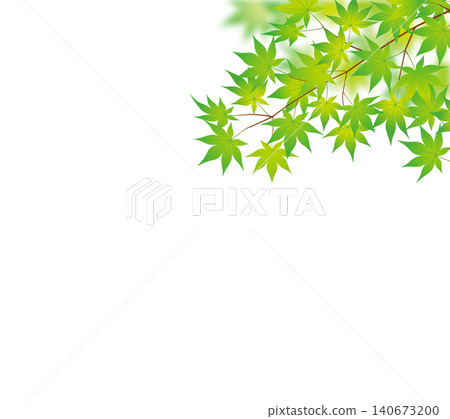 鮮嫩的綠葉，絢麗的秋葉 01 140673200