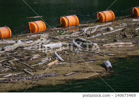 Driftwood and floating debris accumulating on the dam's driftwood fence. Driftwood and floating debris accumulating on the dam's driftwood fence. 140673469