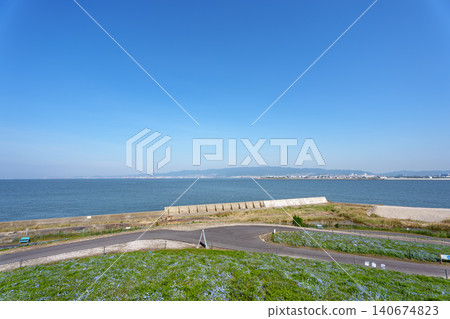 Park where nemophila flowers are in full bloom Park where nemophila flowers are in full bloom 140674823