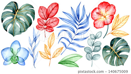 Set of colorful tropical flowers and leaves. X-ray of plants, watercolor illustration 140675009