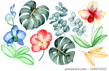 Set of colorful tropical flowers and leaves. X-ray of plants, watercolor illustration Set of colorful tropical flowers and leaves. X-ray of plants, watercolor illustration 140675010
