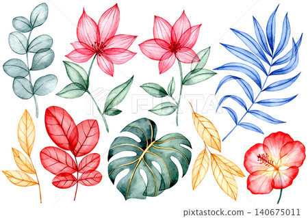 Set of colorful tropical flowers and leaves. X-ray of plants, watercolor illustration Set of colorful tropical flowers and leaves. X-ray of plants, watercolor illustration 140675011