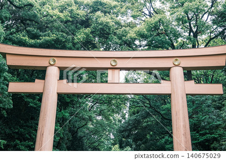 【#Meiji Shrine】First Torii Gate 【#Meiji Shrine】First Torii Gate 140675029