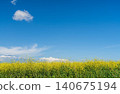 field of golden rapeseed under a bright blue sky with white clouds, a copy space concept on agriculture and crop cultivation 140675194