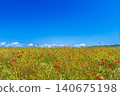 Banner with a sunlit meadow, with vibrant poppies in bloom under a cloudless blue sky, concept of outdoor recreation and travel, camping or agro tourism, copy space for text 140675198