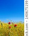 Red poppies on a sunlit meadow against a bright blue sky, a calm, serene atmosphere for outdoor travel and camping or agro tourism, vertical copy space poster 140675199