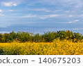 spring farm field with blooming rapeseed, late warm evening, copy space for text about growing crops and caring for nature and ecosystems 140675203