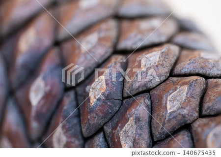 The surface of a pine cone is shown with a focus on its unique texture and pattern. Various shapes appear closely The surface of a pine cone is shown with a focus on its unique texture and pattern. Various shapes appear closely 140675435