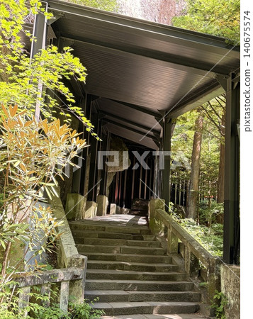 Corridor of Haruna Shrine Corridor of Haruna Shrine 140675574