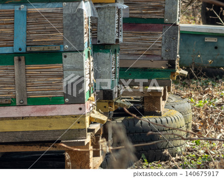 Colorful wooden beehives stacked on repurposed tires in a field, showing active honeybees flying around their colony to represent sustainable natural honey production and apiary 140675917