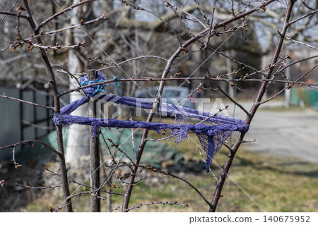 A young tree is supported by a wooden stake and a violet fabric tie in a spring garden, representing careful plant care and agricultural maintenance during early seasonal growth 140675952